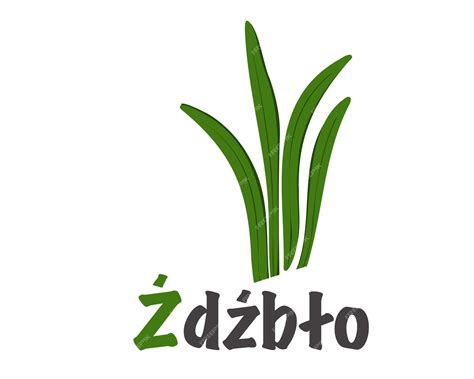 Premium Vector Polish Alphabet Depicting Blade Of Grass