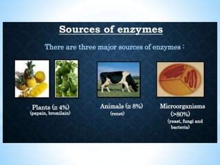 Industrial Applications Of Enzymes Pptx