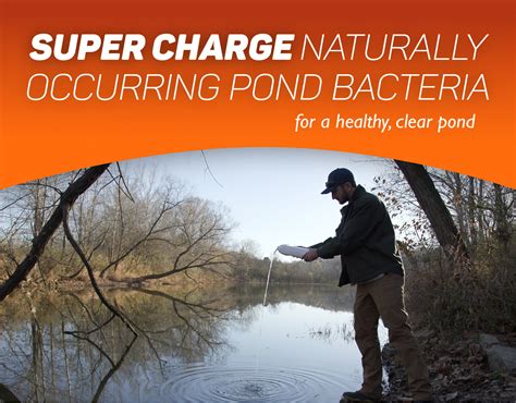Beneficial Bacteria For Ponds | Sanco Industries