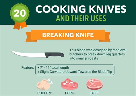 20 Types of Kitchen Knives And Their Uses [Infographic]