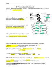 DNA Structure Worksheet Docx NAME DNA Structure Worksheet Use Your