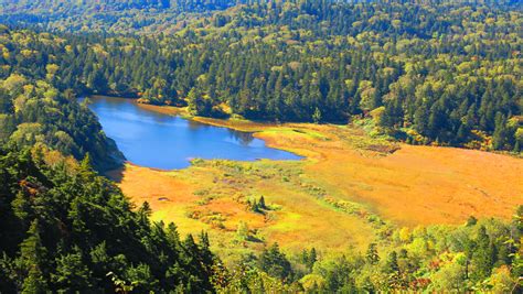 【岩手縣旅遊景點】八幡平市有什麼好玩？秘湯、火山、健行、紅葉、滑雪應有盡有 Bringyou