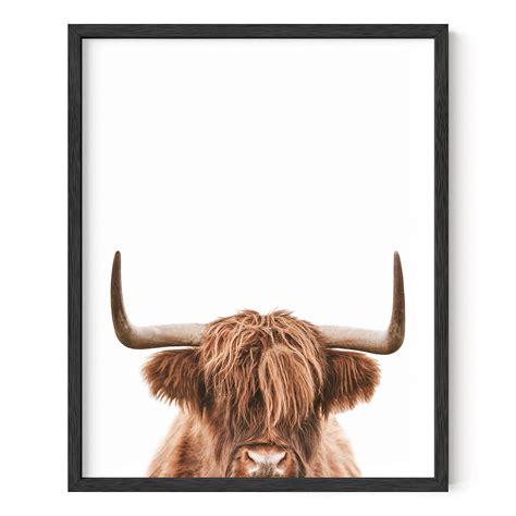 Haus And Hues Highland Cow Wall Art Highland Cow Print And Bull Wall