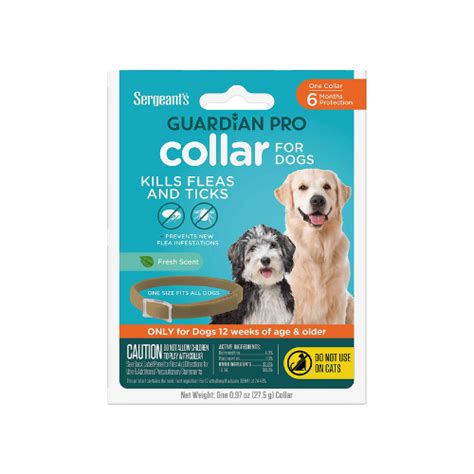 The Best Flea Collars for Dogs, According to Veterinarians