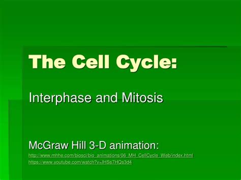 Ppt The Cell Cycle Powerpoint Presentation Free Download Id9509712