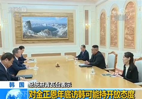 韩国总统府青瓦台：对金正恩年底访韩可能性持开放态度 国际在线