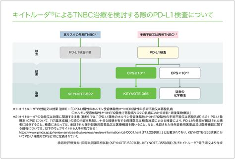 高橋 將人 先生（北海道大学病院 乳腺外科 教授）：keynote 522試験（高リスク早期） Msd Connect