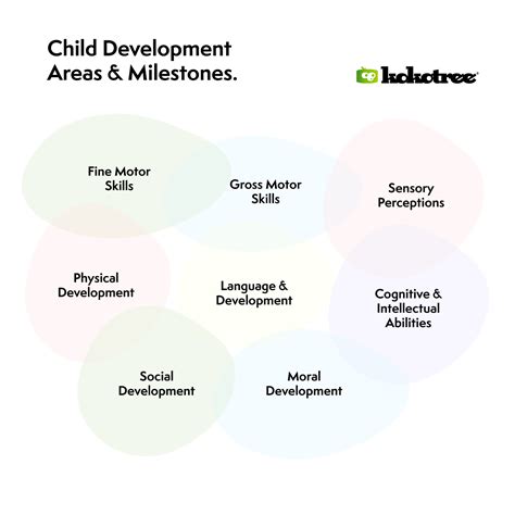 child development milestones  preschoolers kokotree