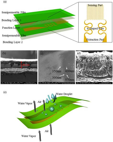 Illustration Of The Design And Function Of The Biocompatible And