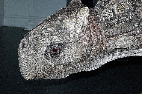 Pictures and Profiles of Armored Dinosaurs