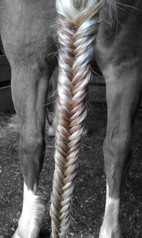 30 Amazing Horse Tail Braids Ideas to make Your Friends Jealous - Tail ...