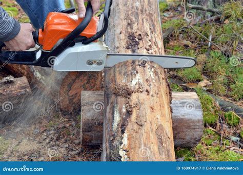 Chainsaw, Tree, Saw, Wood, Cutting, Work, Forest, Lumberjack, Tool, Log ...