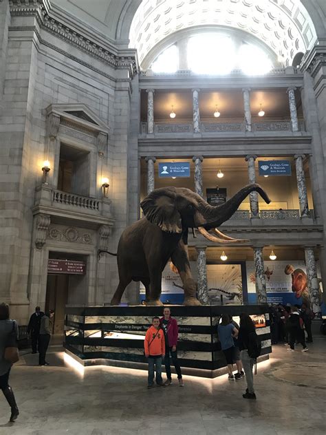 National Museum of Natural History Tips - Hobbies on a Budget