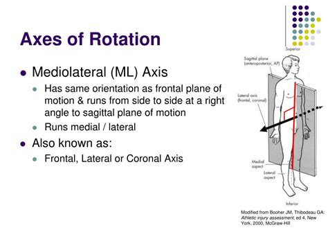 Ppt Foundational Terms And Concepts Powerpoint Presentation Free