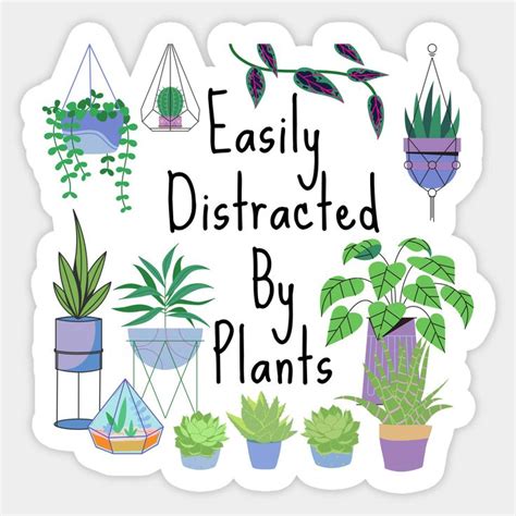 Easily Distracted By Plants Houseplants Plant Lover By