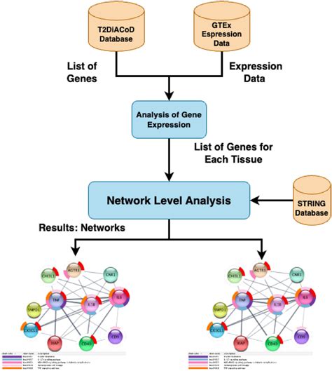 Figure Depicts The Workflow Of The Experiment Performed In The Proposed