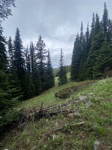 Hiking Columbia Mountain Loop Trail - Explore Washington State