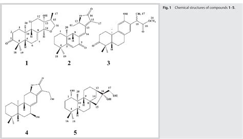 Figure From Ent Abietane And Ent Kaurane Diterpenoids From The Roots