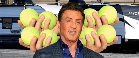 Cradle The Balls Stroke The Shaft The Legend Of Stallones Horny Hot Mic