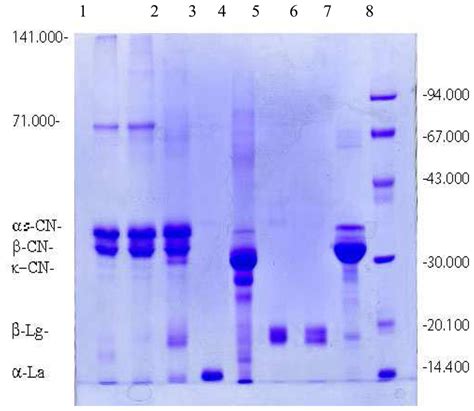 Sds Gel Electrophoresis Of Milk Nfsc450 Nutrient Analysis In Action