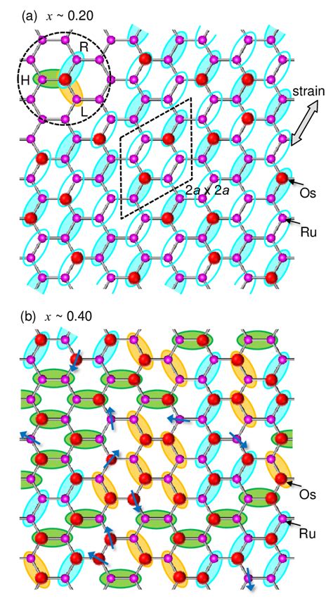 Color Online Schematic Representations Of Dimer Arrangements In The