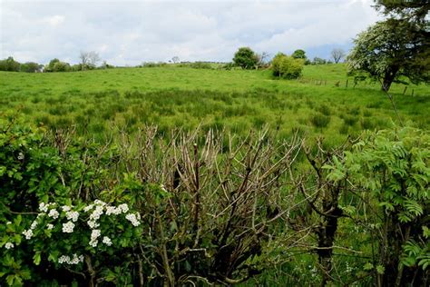 Rushy Ground Kiltamnagh Kenneth Allen Geograph Britain And Ireland