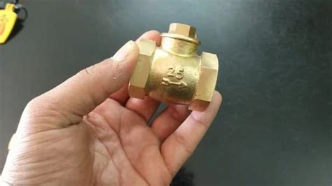 2 Inch Brass Non Return Valve At Rs 340piece Preet Nagar Jalandhar Id 2851287085962