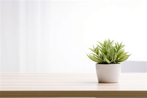 guide  white background product photography