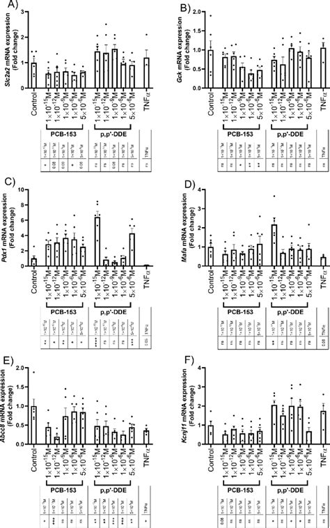 Pcb And P P Dde Alter Mrna Expression Of Genes Involved In