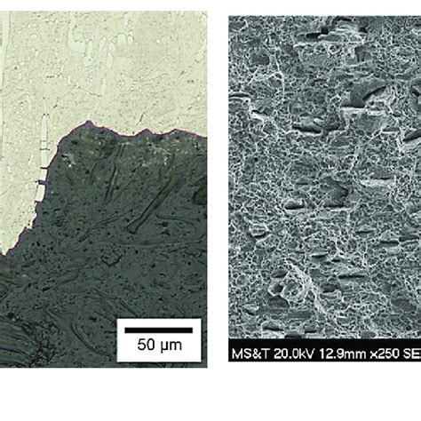 A Optical Micrograph Of The 950 C Annealed Tensile Specimen