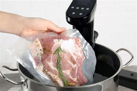 C Mo Se Hace La Cocci N Al Vac O O Cocci N Sous Vide