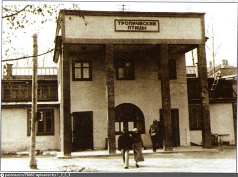 Московский зоопарк. Павильон "Тропические птицы"