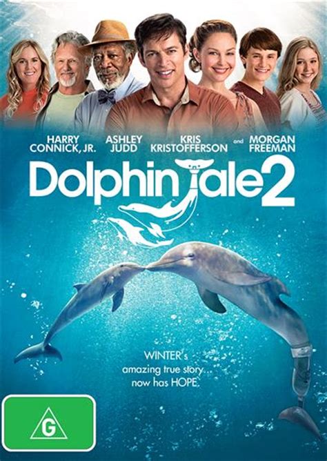 Buy Dolphin Tale 2 On Dvd Sanity