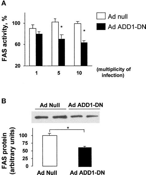 ADD 1 SREBP 1 Is A Major Determinant Of Tissue Differential Lipogenic