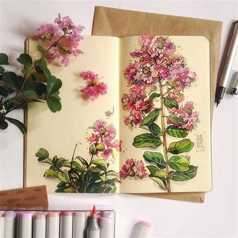 Pin Von Colleen Blackford Auf Art Journal Plants Flowers Botanische