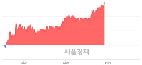 한국전력 316 오르며 체결강도 강세 지속256 서울경제