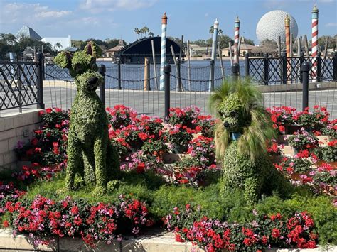 Photo Report Epcot New Maps More Character Topiaries Carol