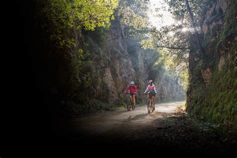 La Selva El Parad S Pels Amants Del Cicloturisme La Selva Turisme