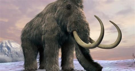 Mastodonte Mamut Y Elefante