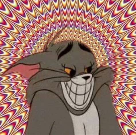 Smug cat | Tom and Jerry | Know Your Meme