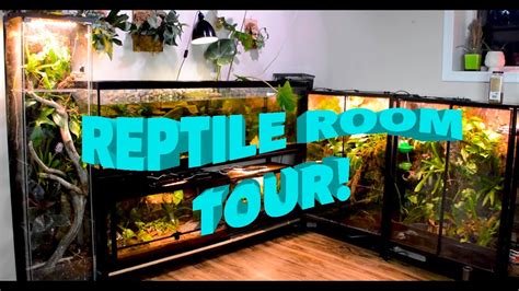 Reptile Room Tour Episode 1 Youtube