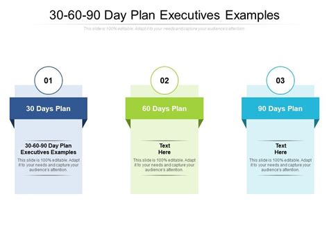 30 60 90 Day Plan Executives Examples Ppt Powerpoint Presentation Gallery Images Cpb Pdf