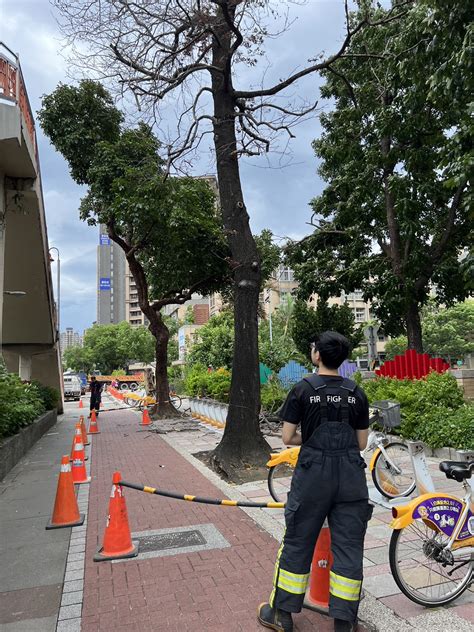 杜蘇芮間歇雨勢挾強風 女遭樹枝砸中瞬間曝 東森最即時最快速新聞