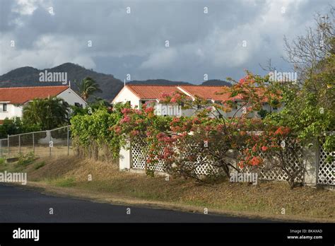 Houses with flowering bushes Rodney Bay St. Lucia Windward Islands West Indies Caribbean Stock ...