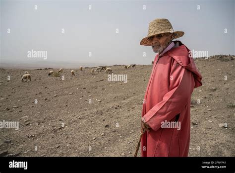 Portrait Of An Elderly Shepherd Dressed In A Red Djellaba Herding His Flock In The Arid Lands Of