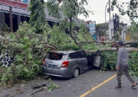 Mobil Ringsek Tertimpa Pohon Tumbang Di Semarang Info Seputar Pati