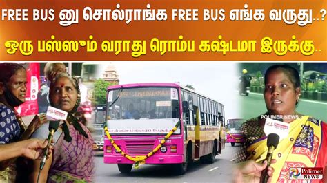 Free Bus Free Bus