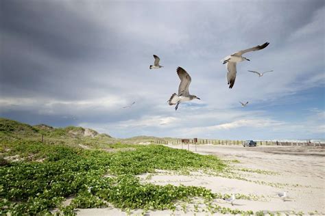 13 Best Things To Do In South Padre Island Texas