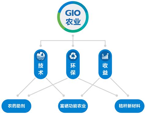 Gio华兴控股集团