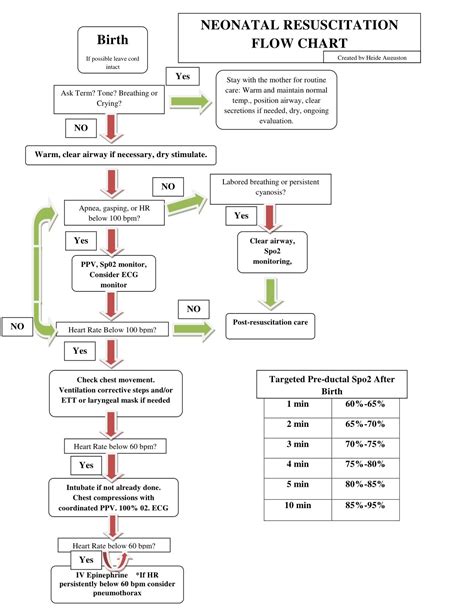 Nrp Flow Diagram Neonatal Resuscitation Program Wall Chart